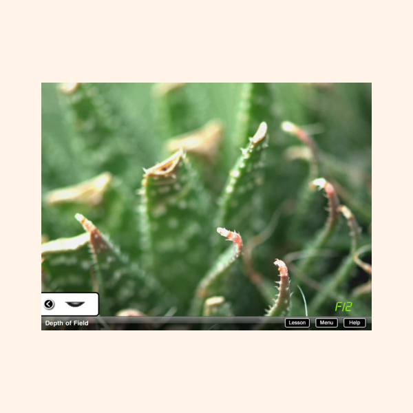 Bokeh: A Book About Cameras