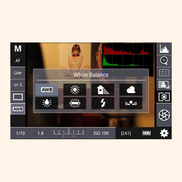 DSLR Controller